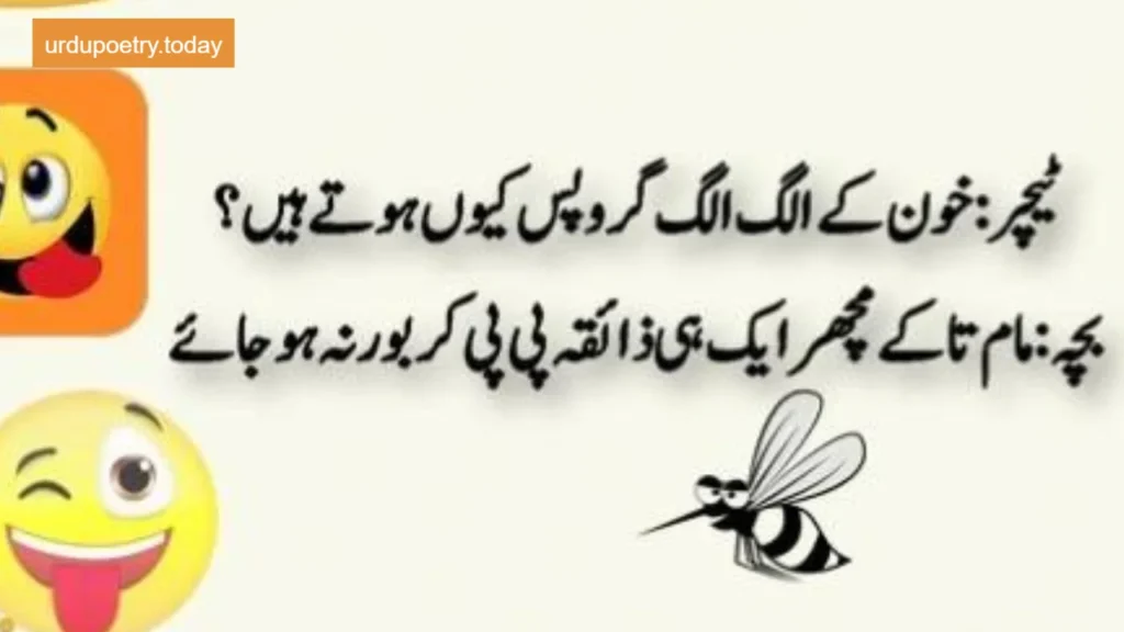 Funny Shayari In Urdu-5