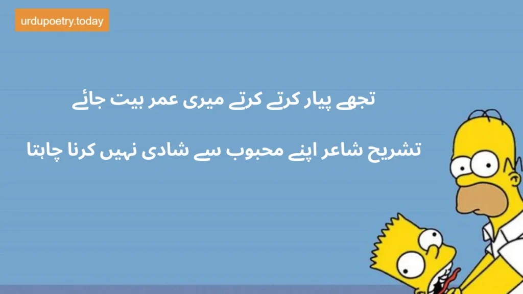 Funny Shayari In Urdu-7