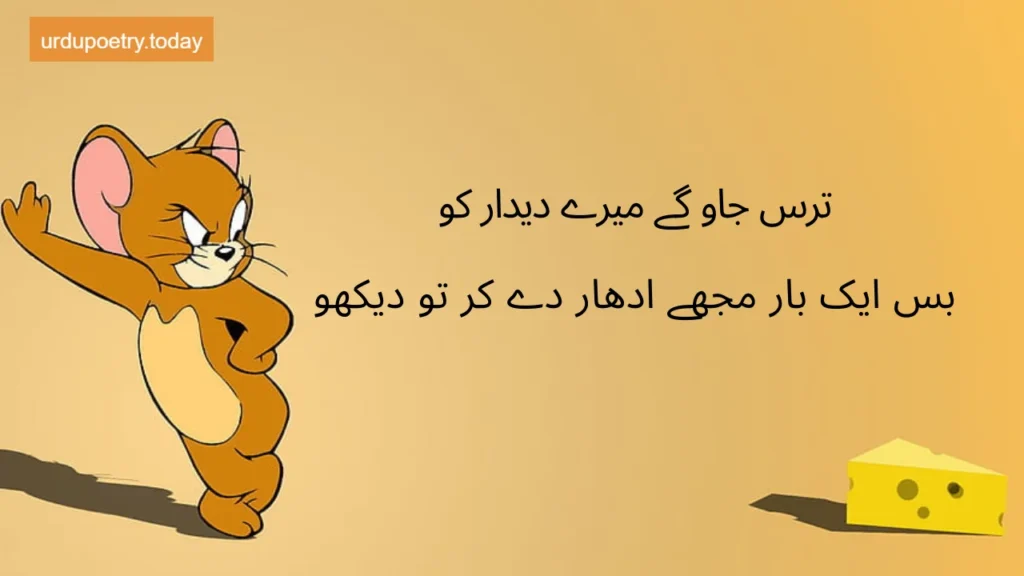 Funny Shayari In Urdu-9