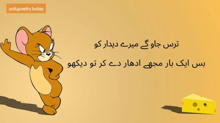 Funny-Shayari-In-Urdu