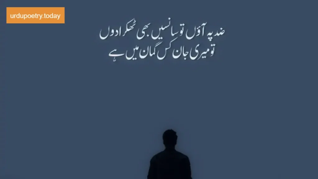 35+ATTITUDE POETRY IN URDU