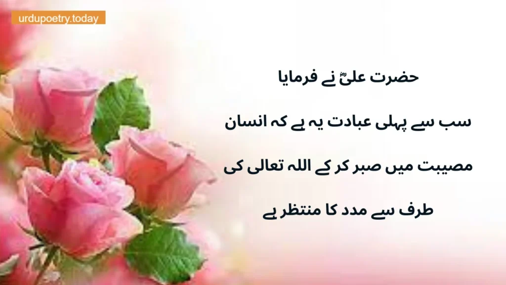 Sayings of Imam Mola Ali In Urdu