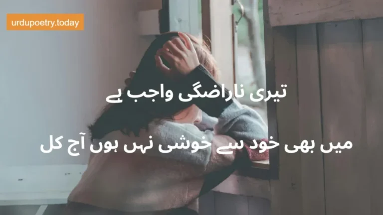 Sad Urdu Poetry